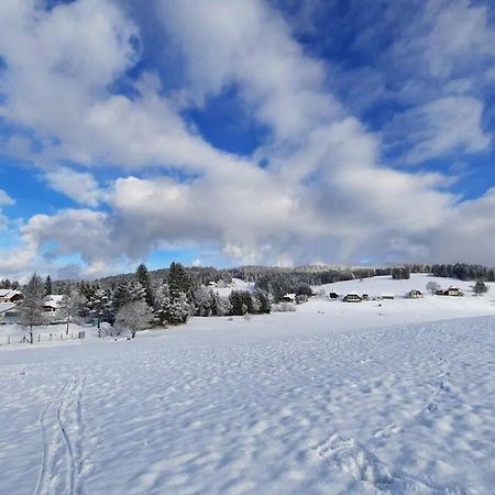 Gemuetliche Ferienwohnung Fuer 4 Gaeste In Schoenwald Schönwalde Eksteriør billede